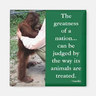 Aimant La citation animale de Gandhi