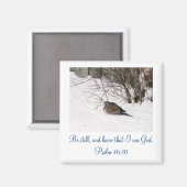 Aimant La colombe dans l'aimant de la neige (Recto/Verso)