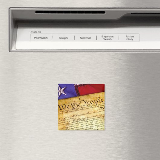 Aimant La Constitution américaine (In Situ (Lave-vaisselle))