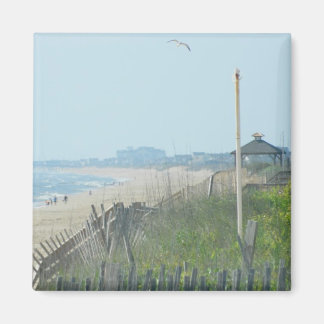 Aimant La côte de Canard North Carolina