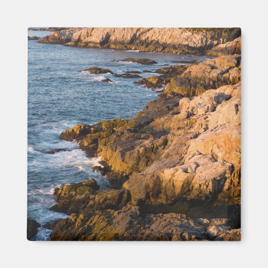 Aimant La côte rocheuse d'Isle au Haut dans le (Devant)