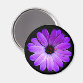 Aimant La couleur violette. (Recto/Verso)