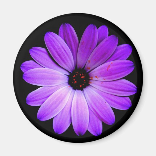 Aimant La couleur violette. (Devant)