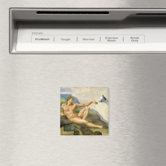 Aimant La Création D'Adam Parody (In Situ (Lave-vaisselle))