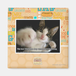 Aimant La dernière chose