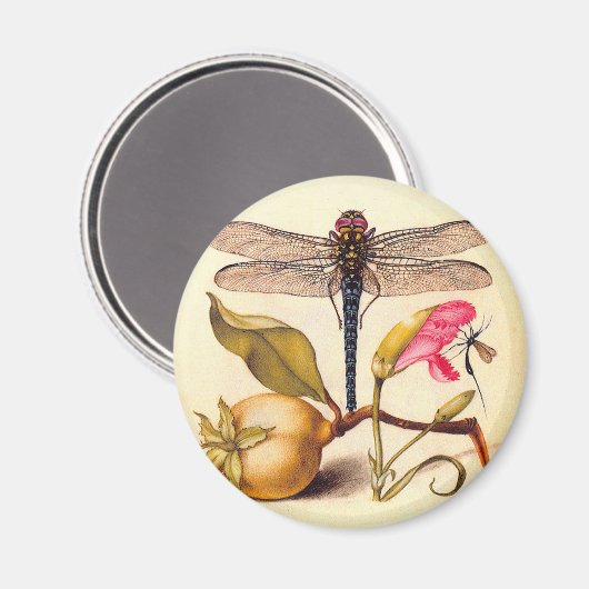 Aimant La faune de la libellule (Recto/Verso)