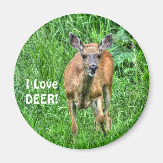 Aimant La faune des cerfs et de l'herbe pour les amateurs (Devant)