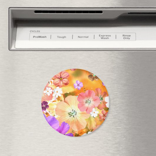 Aimant La fée sortira bientôt 3 (In Situ (Lave-vaisselle))