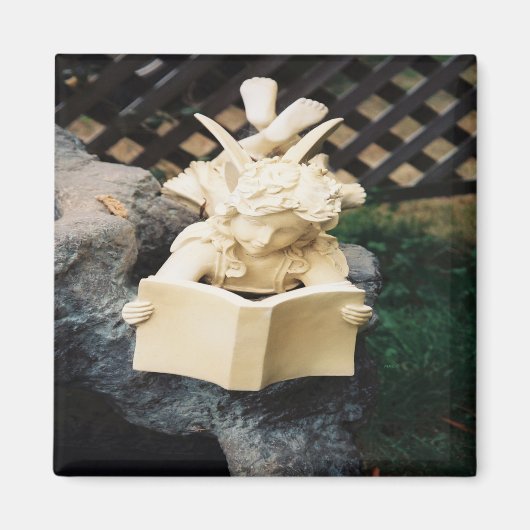 Aimant La Féerie à lire dans un étang de Koi..... (Devant)