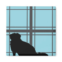 La fenêtre de Nicky