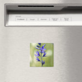 Aimant La fleur d'un lis camas dans le comté de Valley, (In Situ (Lave-vaisselle))