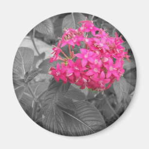 Aimant La fleur rose