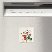 Aimant La fraise des Roseberry, gravée par Watte (In Situ (Lave-vaisselle))