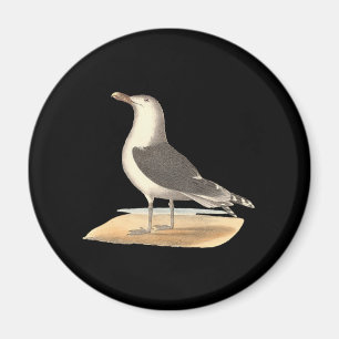 Aimant La Grande Mouette à dos noir (Larus marinus)