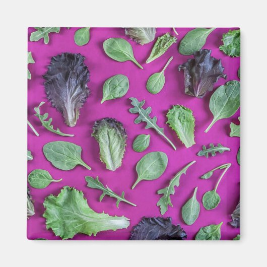 Aimant La laitue vert sur le pourpre (Devant)