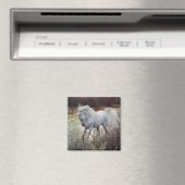 Aimant La licorne (In Situ (Lave-vaisselle))