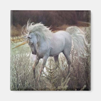 Aimant La licorne