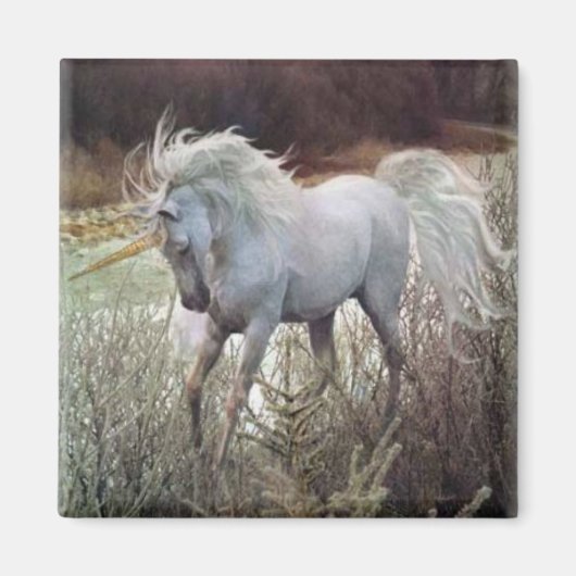 Aimant La licorne (Devant)