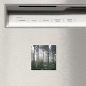 Aimant La lumière du soleil traverse une forêt agitée (In Situ (Lave-vaisselle))