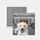 Aimant La maison est où se trouve le chien (Recto/Verso)