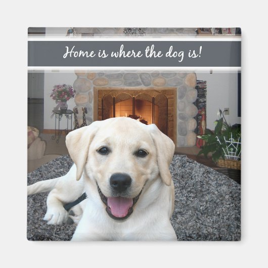 Aimant La maison est où se trouve le chien (Devant)