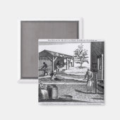 Aimant La manufacture de tabac dans différentes branches (Recto/Verso)