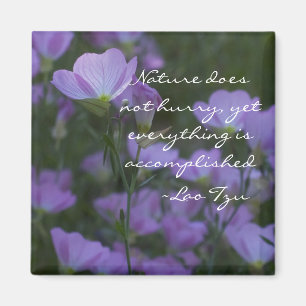 Aimant la nature ne se dépêche pas