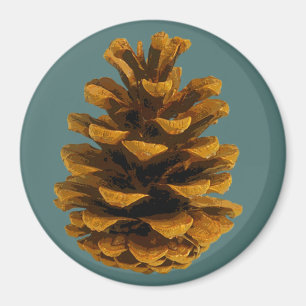 Aimant La nature rustique de la pinecone