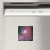 Aimant La nébuleuse de Dumbell (In Situ (Lave-vaisselle))