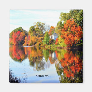 AIMANT LA NOUVELLE ANGLETERRE