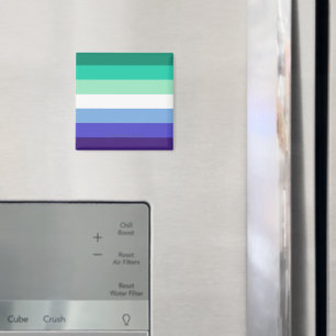 Aimant La palette de drapeau des hommes gays trans-inclus