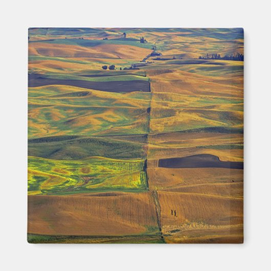 Aimant La Palouse de Steptoe Butte, Colfax, (Devant)