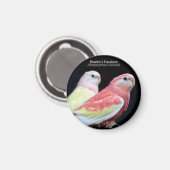 Aimant La perruque de Rubino Bourke (Recto/Verso)