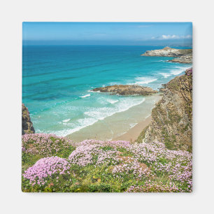 Aimant La plage de Newquay à North Cornwall falaise de fl