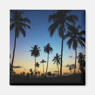 Aimant La plage et un Praia côtier du village   font le