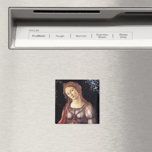 Aimant La Primavera en détail (In Situ (Lave-vaisselle))