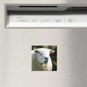 AIMANT LA RAM (In Situ (Lave-vaisselle))