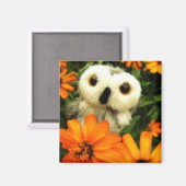 Aimant La Recherche De Fées Continue... (Recto/Verso)