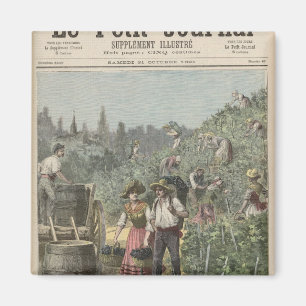 Aimant La Récolte De Vins