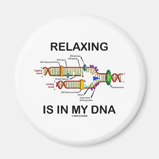 Aimant La Relaxation Est Dans Mon ADN (Réplication De L'A (Devant)