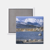 AIMANT LA RÉSERVE NATURELLE DE MONO LAKE TUFA, (Recto/Verso)