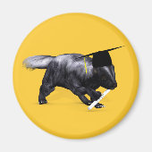 Aimant La Skunk La Plus Intelligente Du Campus (Devant)