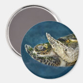 Aimant La tortue de mer surprise (Recto/Verso)