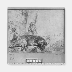 Aimant La truie, 1643