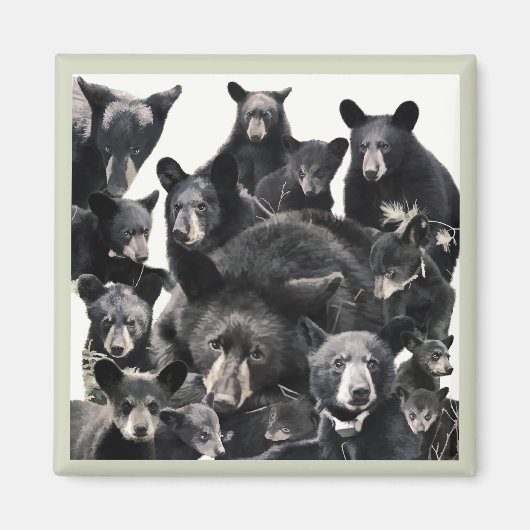 Aimant La vie de l'espoir (Devant)