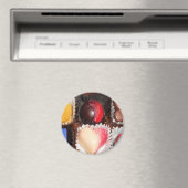 Aimant La vie est comme une boîte de chocolats (In Situ (Lave-vaisselle))