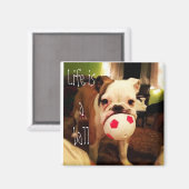 Aimant La vie est une balle ! (Recto/Verso)