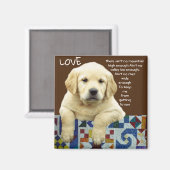 AIMANT "LAB LOVE" (Recto/Verso)