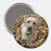 Aimant Lab Love ~ Toujours dans l'aimant de saison (Recto/Verso)