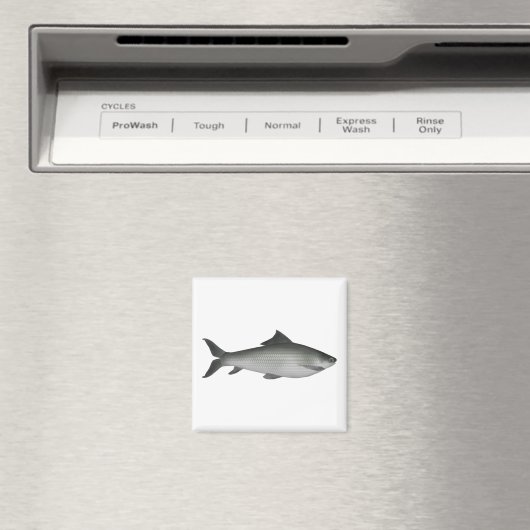 Aimant Labeo commun (In Situ (Lave-vaisselle))